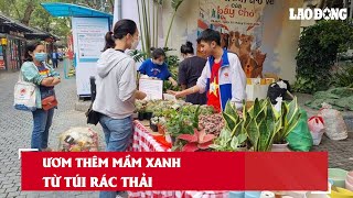 Ươm thêm mầm xanh từ túi rác thải| Báo Lao Động