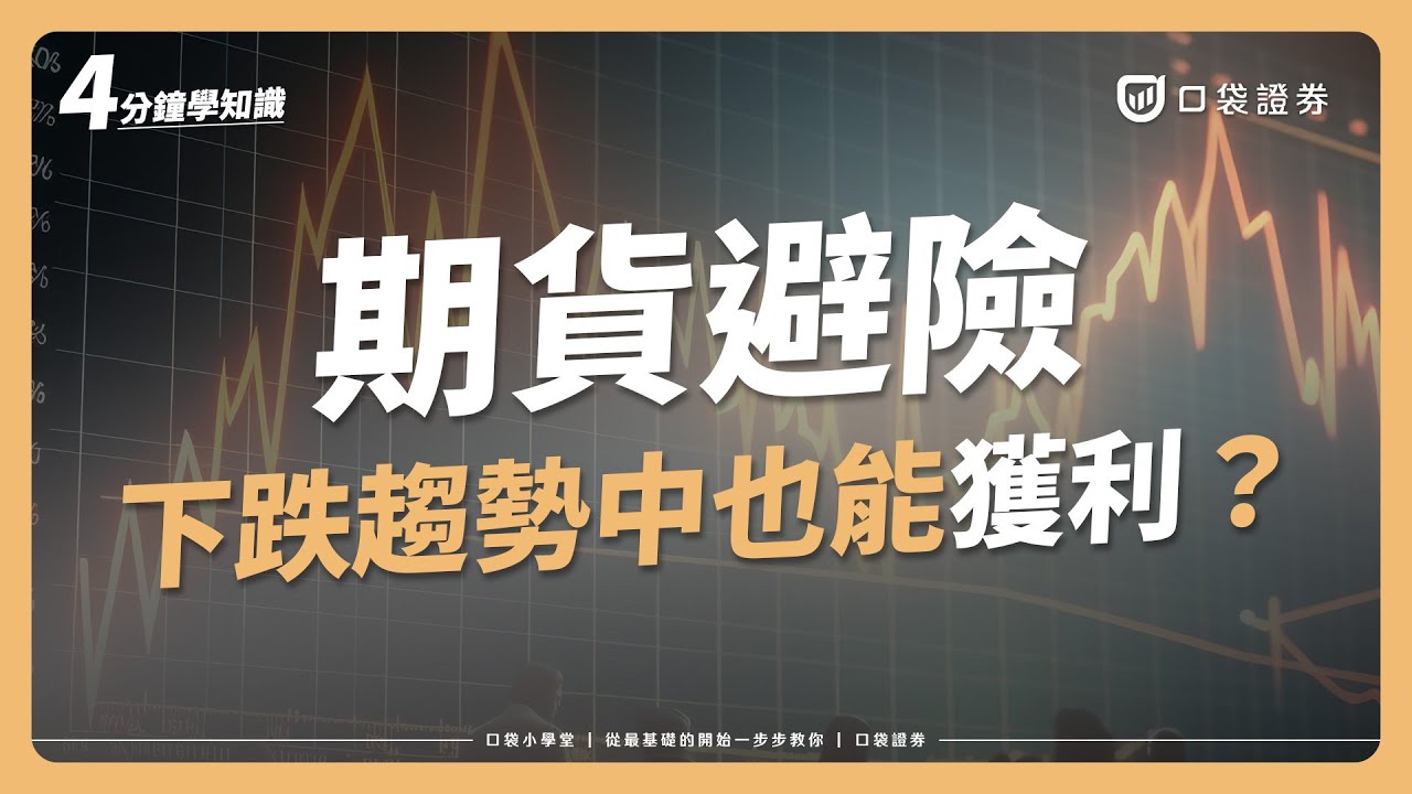 【口袋小學堂EP55】大跌中也可能不虧反賺⁉️期貨讓避險不再困難!
