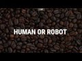 WordPress Security Guide CAPTCHA