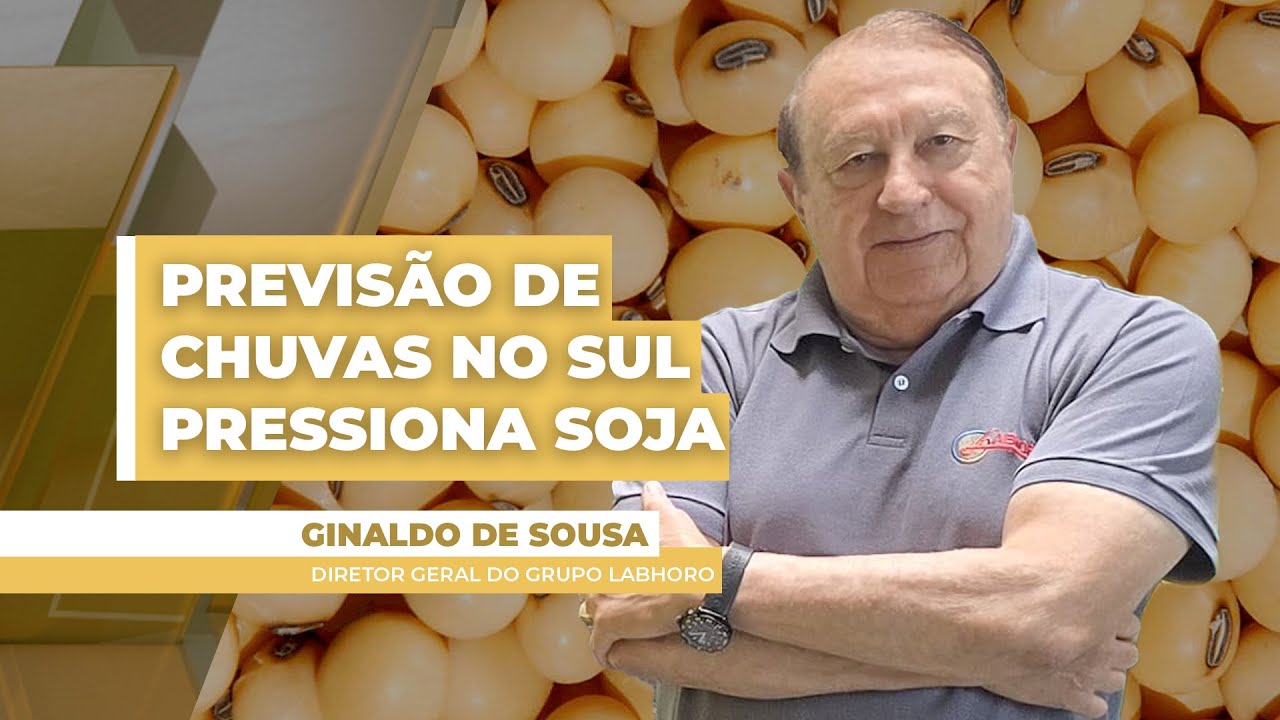 Soja cai mais de 2% em Chicago com previsão de clima melhor para o sul do BR e novos negócios ...