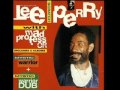 Lee Perry & Mad Professor - Dub Reggae Soca