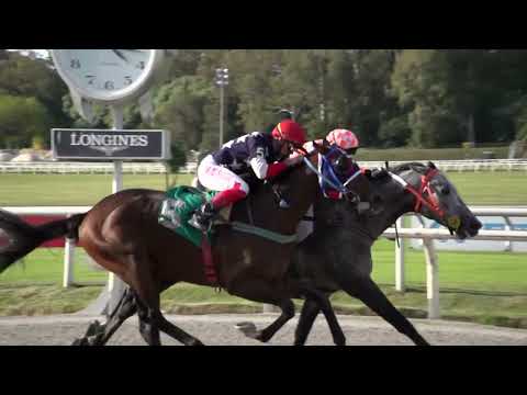 230422 c05 PASO EXOTICO