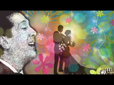 ادى الزين وادى الزينة على الحجار