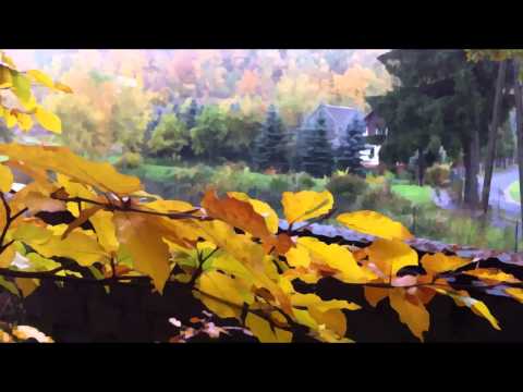 Wędrowiec - Piosenki harcerskie