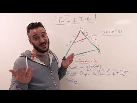 A'Rieka - Théorème de Thalès ( Fiche de révision n°5 )