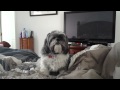 Gracie Lou Morning Affirmations