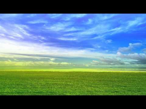 Mutt feat Kevin King - Conversations