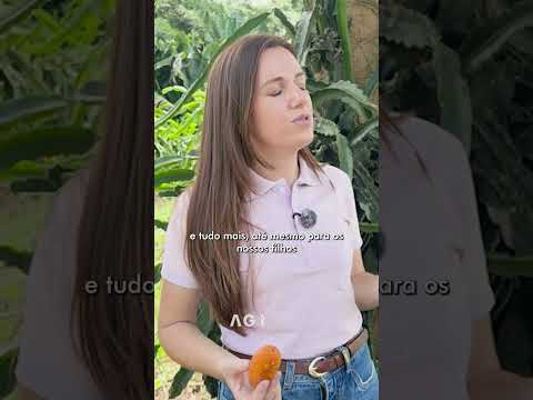 PITAYA NO PÉ DE JARACATIÁ