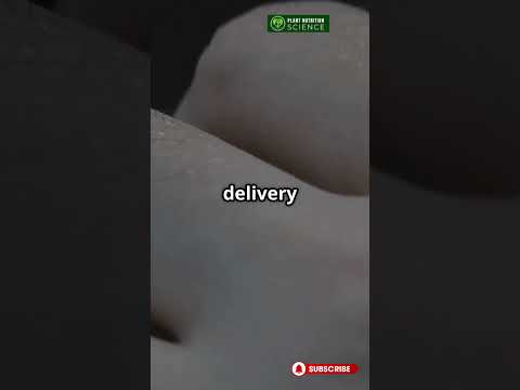 Why Your Hands Are Always Cold (It’s Not the Weather) | PNS