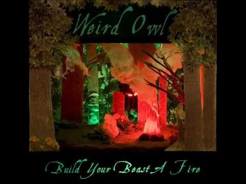 Weird Owl - Mirrors in the mud