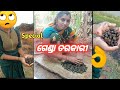 ଗେଣ୍ଡା ତରକାରୀ Ll ପିଙ୍କି ର ଗେଣ୍ଡା ରୋଷେଇ L