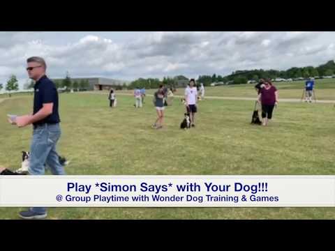 Wonder Dog Training & Games video.