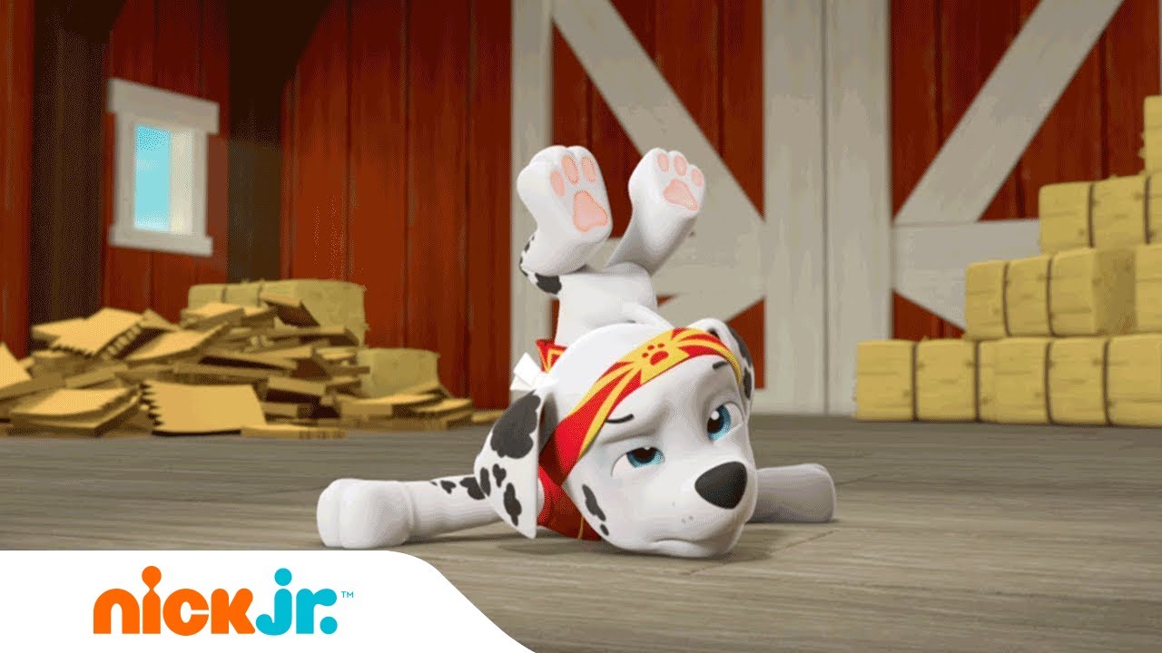 Psiu-Fu 🐶 Vs. Kot-Jitsu 🐱 | Psi Patrol | Nick Jr. Polska