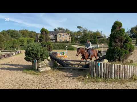 Lot no 763 Goresbridge sales Friday Sept 5th - Image 2