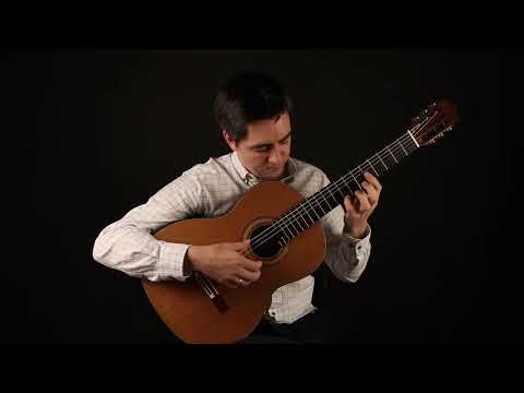 Un Dia de Noviembre (Leo Brouwer) performed by Manus Noble