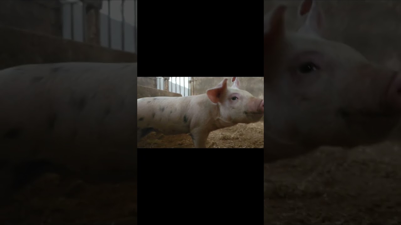 【ことわざ】備えあれば？