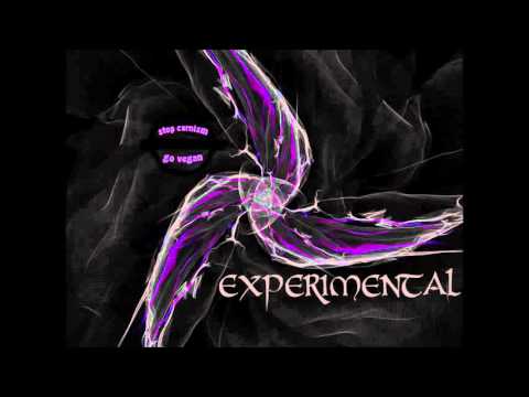 Bacondo ft. MC Riser - Sangre & Tierra