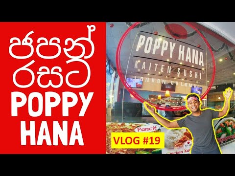 download lagu mp3 mp4 Poppy Hana, download lagu Poppy Hana gratis, unduh video klip Poppy Hana