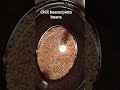 #chili beans/pinto beans