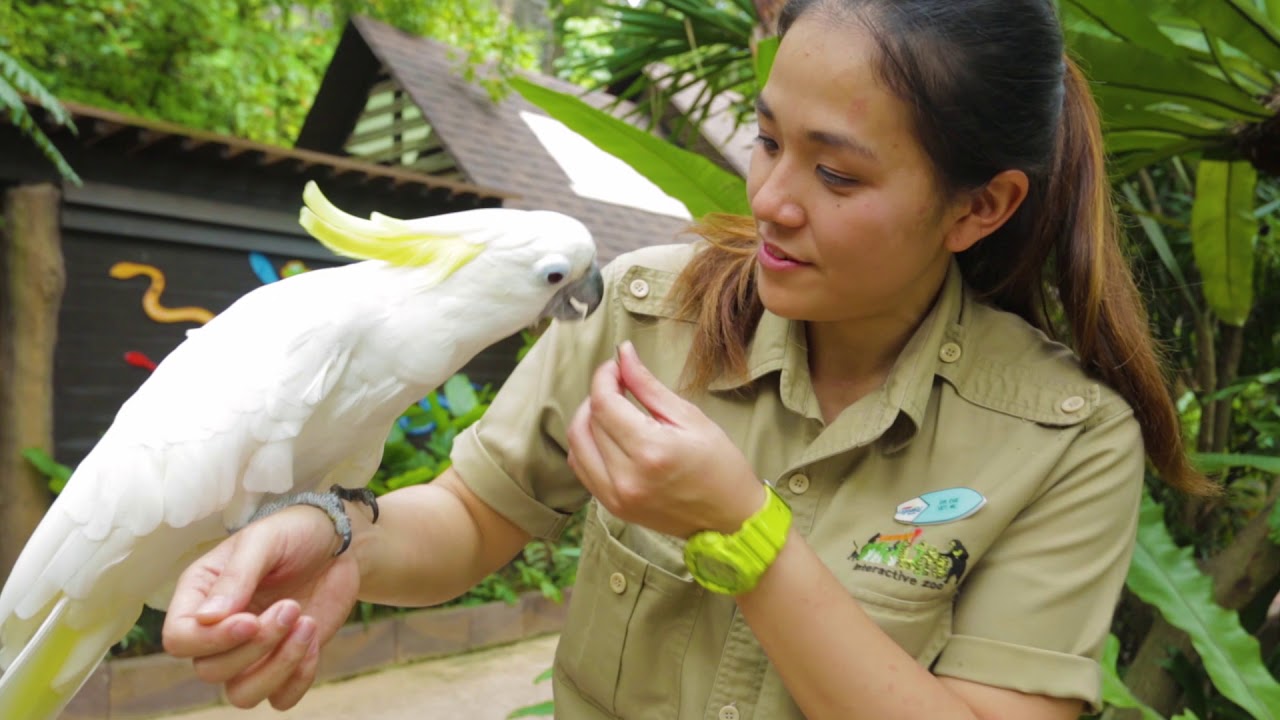 A Day in the Life Series: Dr Eve, Veterinarian at Sunway Lagoon