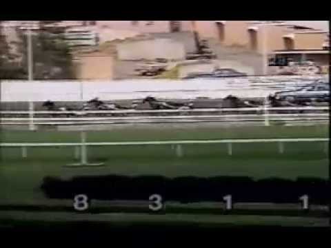 1989 Meadowlands PARK AVENUE JOE Hambletonian 2nd Heat