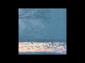 Fog Lake - erik 