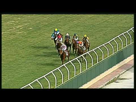 Galoppo 11/02/2020 - 1ª corsa