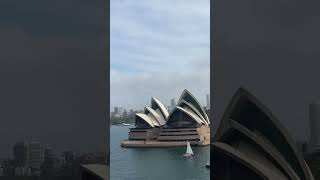 Pacific adventure #cruiseship #cruise #cruiseadventures