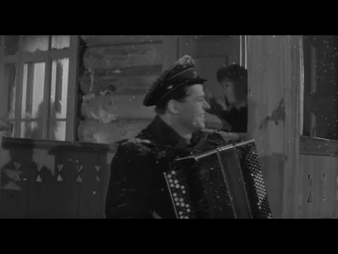 Старый клен...