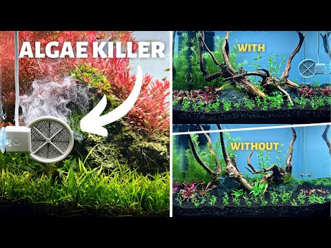 DO THESE AQUARIUM STERILIZERS REALLY WORK? New Experiment!