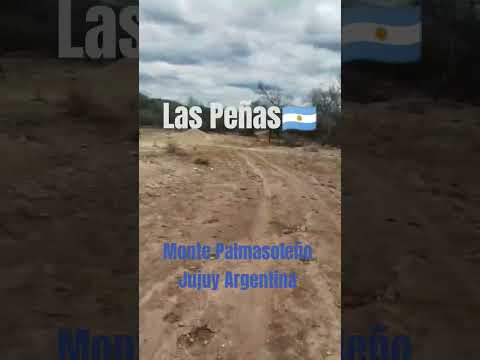 LAS PEÑAS🇦🇷 Monte Palmasoleño al Este de la Provincia de Jujuy Argentina. #vidadecampo #PalmaSola 🇦🇷