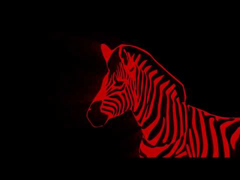 Red Zebra - I Can't Live In A Living Room (the 40th anniversary living room sessions)