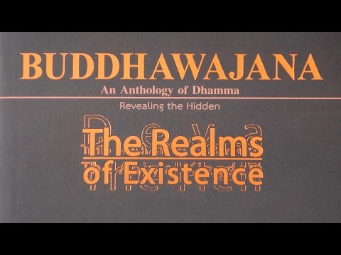 The Realms of Existence Chapters 30 - 42 (English)