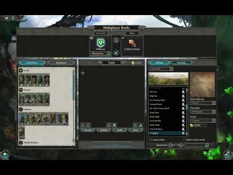 Warhammer 2 Tournament with Ethernal Neverchosen Felkon!