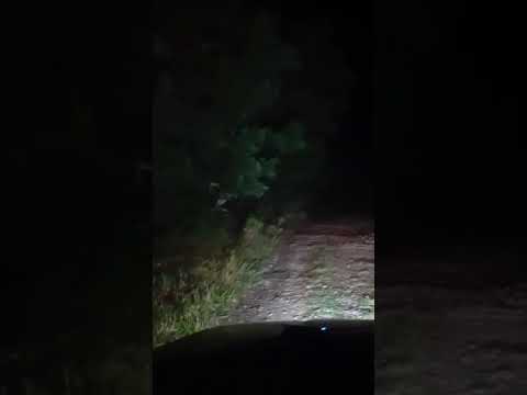 San Martin (Meta). Llanos Orientales. Linda Noche. m.@.@🦇