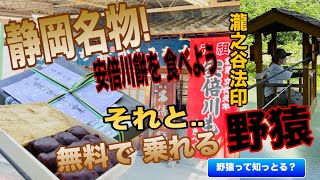 50代の旅 静岡!無料のアトラクション？ロープを引いて進む「野猿」が楽しすぎた