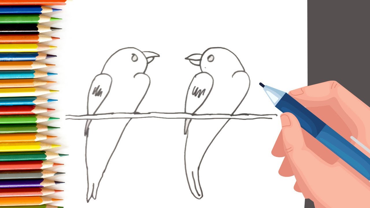 How to draw parrot