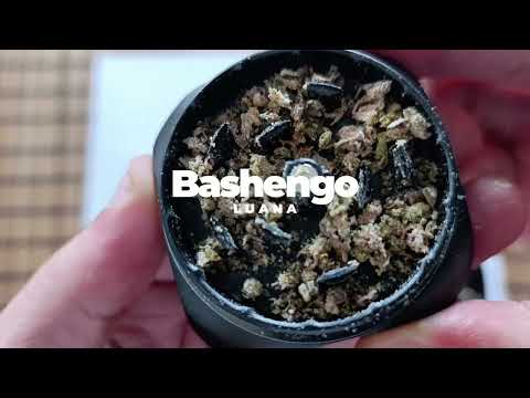 Bashengo LUANA: Afrikanische Genetik exotische Aromen