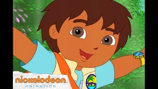 Go, Diego, Go! Theme Song | Nick Jr. | Nick Animation