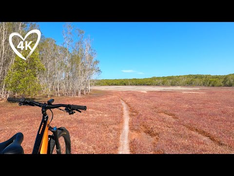4K Bike Ride - Kangaroos, Gum Trees & Nature - Coombabah Lakelands Reserve - Gold Coast, Australia