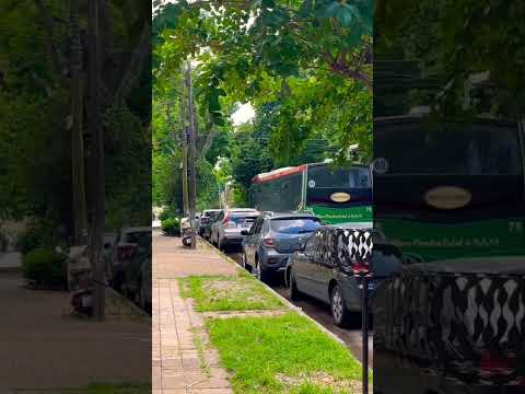 Unidad del #59 pasa por las tranquilas calles de La Lucila en #vicentelopez #shorts #buenosaires