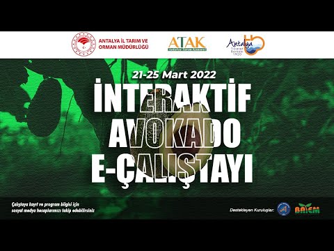 İnteraktif Avokado E-Çalıştayı 2. Gün