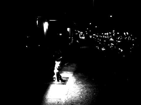 WarWolves - Wos jetzt? (ahora que)