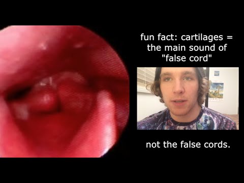 How-To Scream: False Cord/Fry, Throat Singing, Method Summary 2016