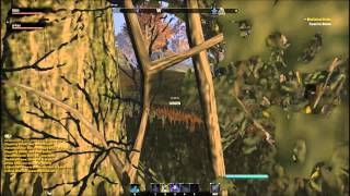 ESO Khajiit like to sneak