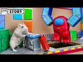 Hamster vs Impostor in the Among Us Maze - The Skeld 😈 Homura Ham
