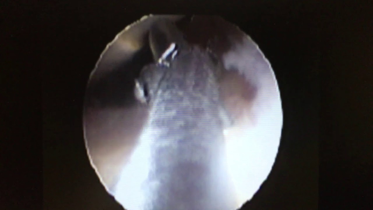 Guillermo Nájera González-19