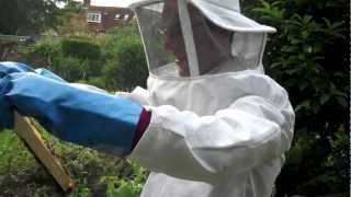 preview picture of video 'Fun with Bees - Adding an extra brood chamber.'