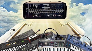 ONLY Moog Would: $5000 Worth of Feelings 😬