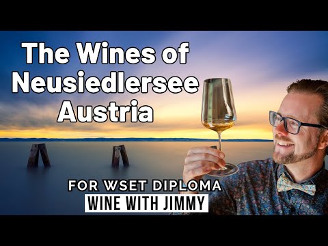 Exploring the wines of Burgenland for WSET Level 4 Diploma